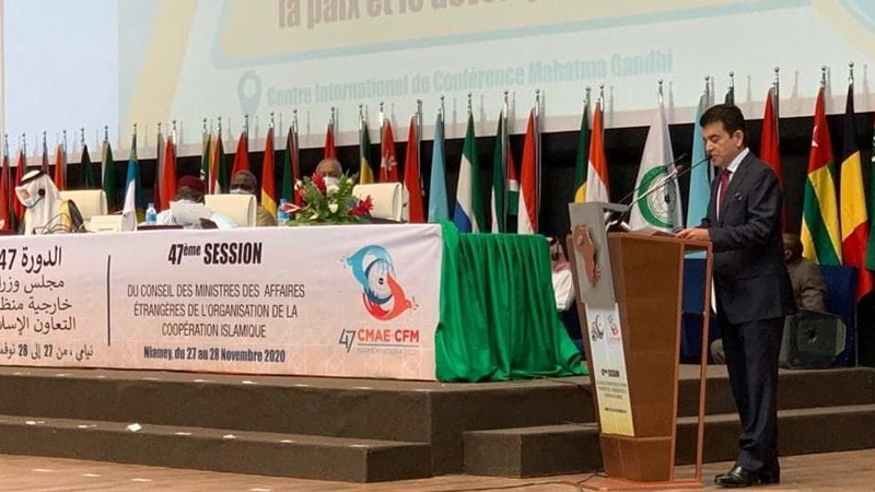 OIC Council of Foreign Ministers:  ICESCO DG Calls for Forming a High-Level Expert Team to Counter Repercussions of COVID-19