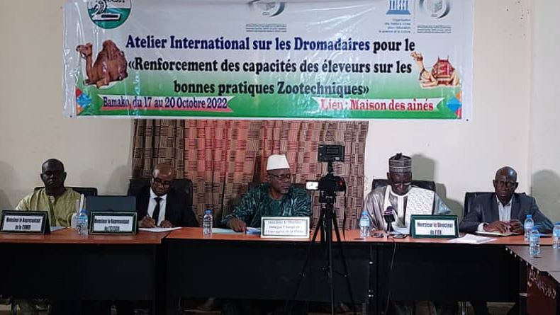 ICESCO Holds international workshop on building capacities of camel breeders in Mali