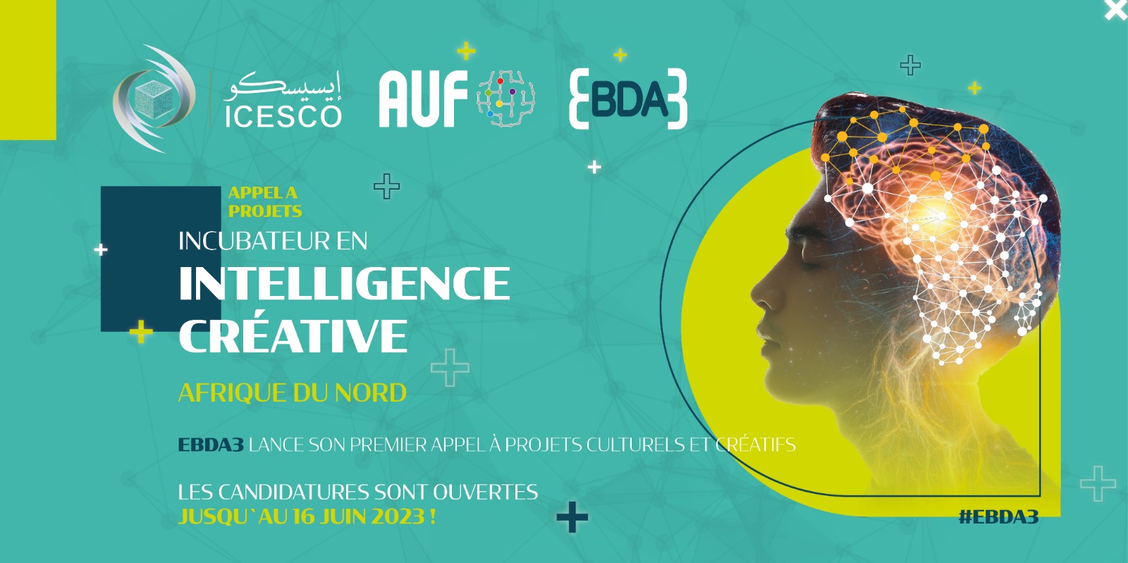 ICESCO and Agence Universitaire de la Francophonie open call for applications for “Ibdaa” incubator